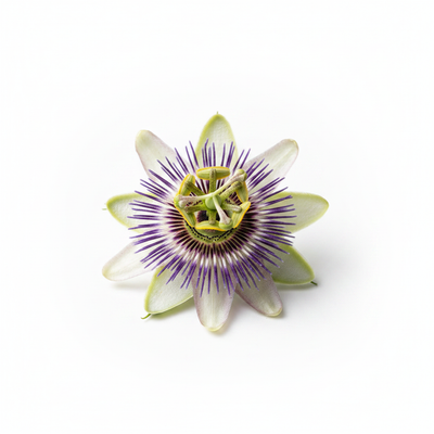 Passionflower