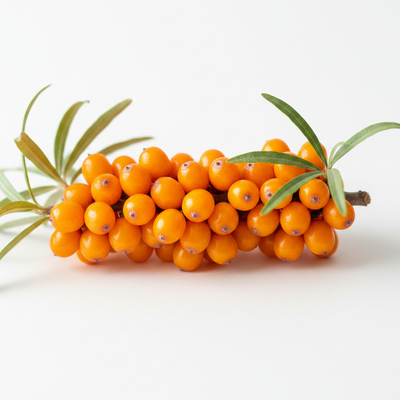 Sea Buckthorn